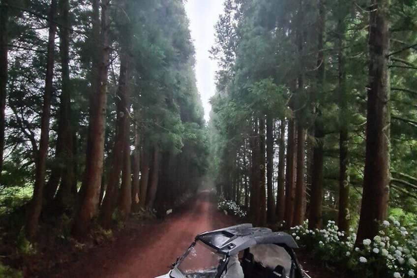 BUGGY TOUR - West / Center of the island (off-road)