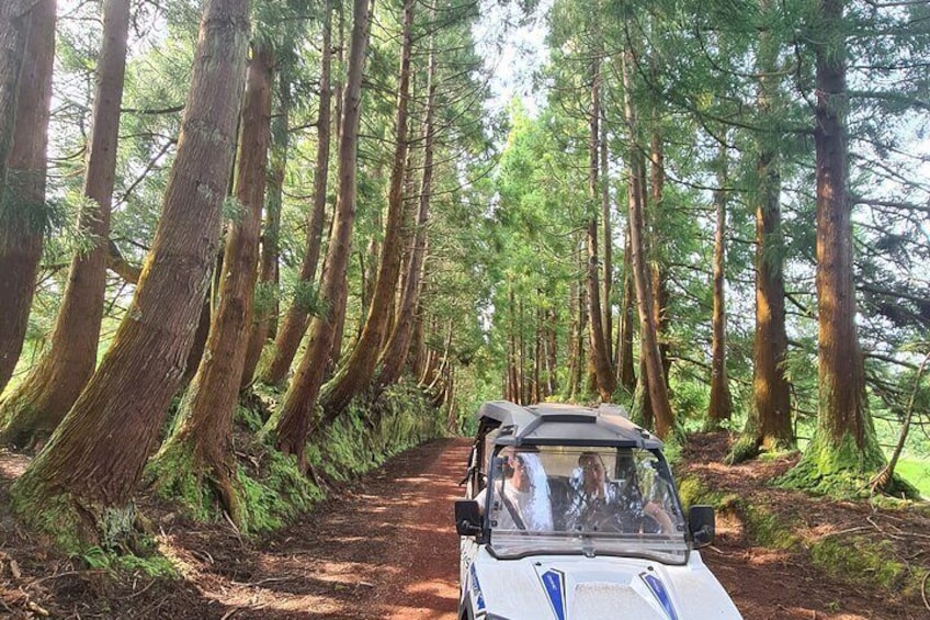 BUGGY TOUR - West / Center of the island (off-road)