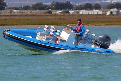 1 or 2 Hour Speed Boat Tour - Ria Formosa