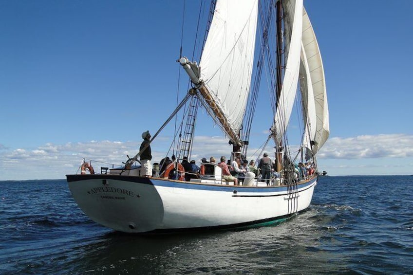 Schooner Appledore