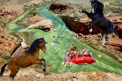 Red Canyon’s Best Of The Wild West Wild Mustang+Rafting Adventure