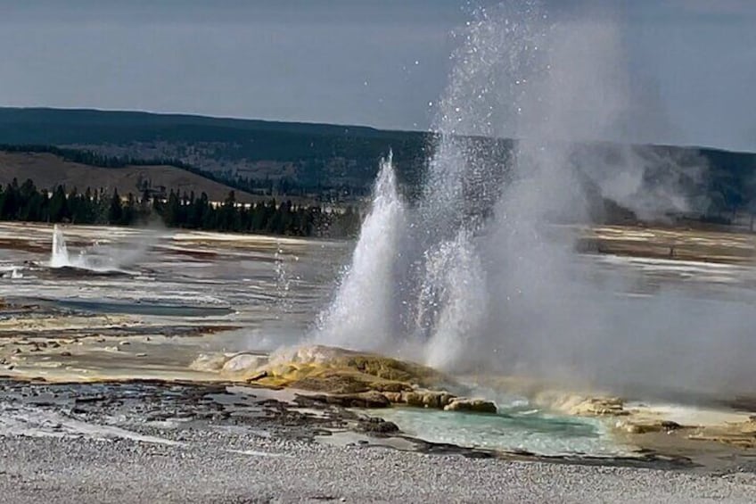 Private “Pet Friendly” Yellowstone Tours+Cody Wyoming Adventures 