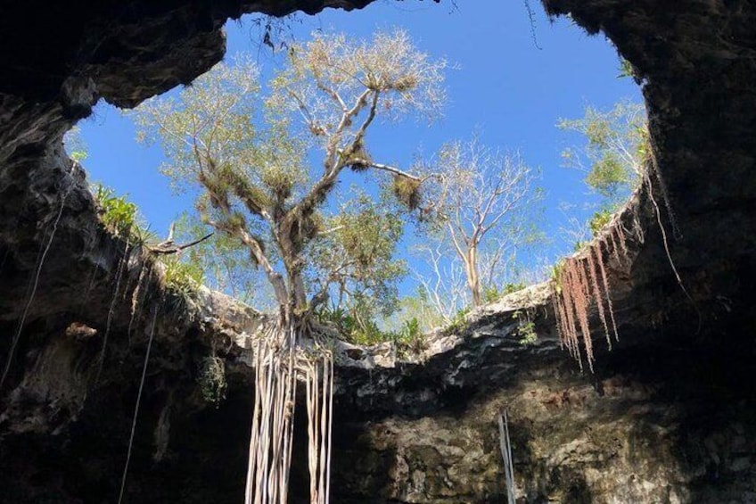 Tour Cenotes Santa Bárbara