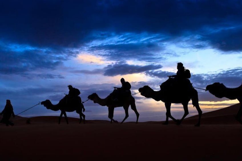 Sunset Camel Ride