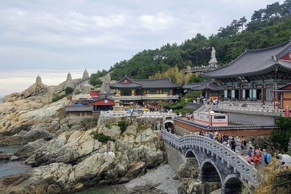 Private Day Trips : Highlights of Busan City Tour, from Busan