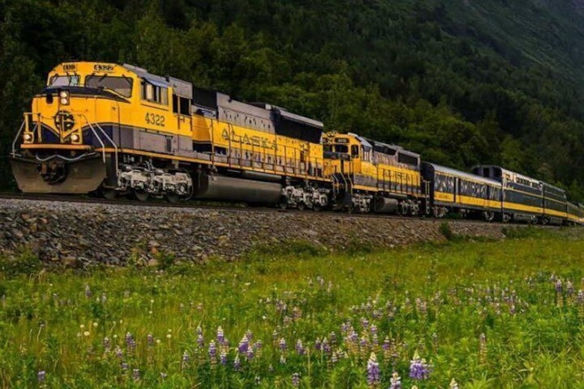 Alaska Railroad Anchorage to Seward Round-Trip Same Day Return