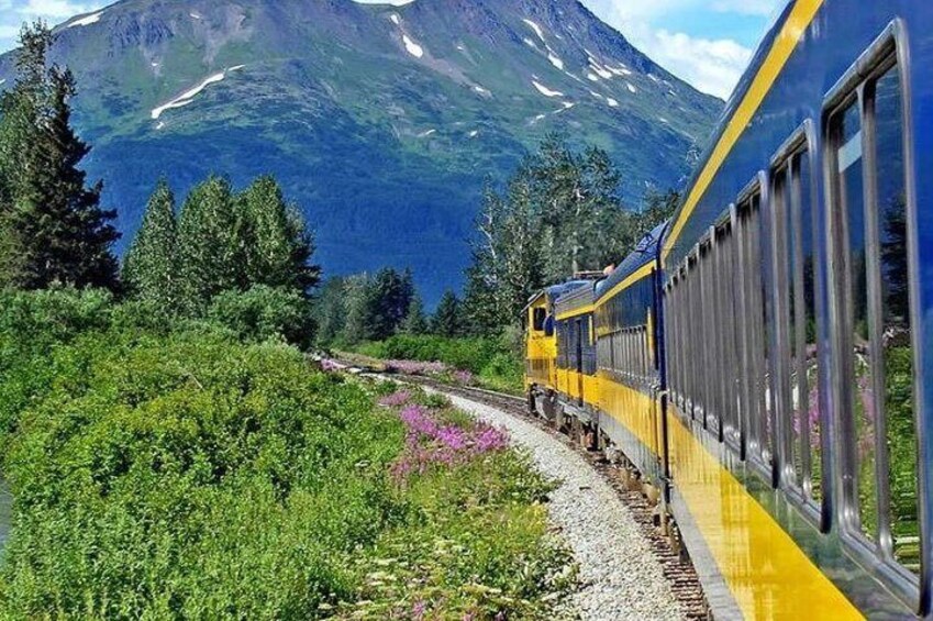 Alaska Railroad Anchorage to Seward Round-Trip Same Day Return