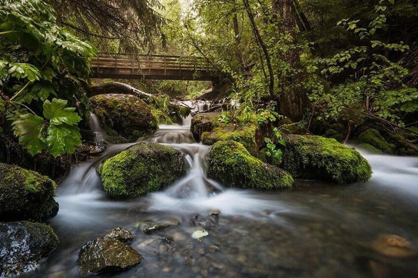 McHugh Creek in summer