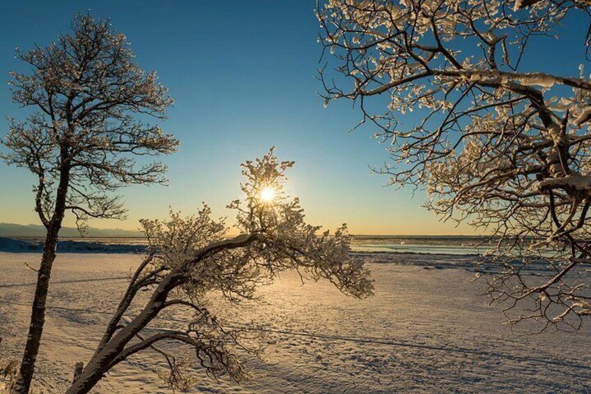 Mid-day sun in winter