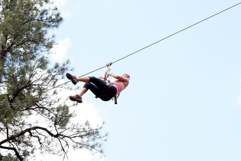 Flagstaff Extreme Adventure Course-Adult Course