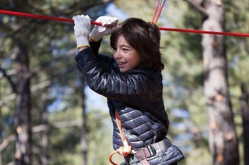 Flagstaff Extreme Adventure Course-Adult Course