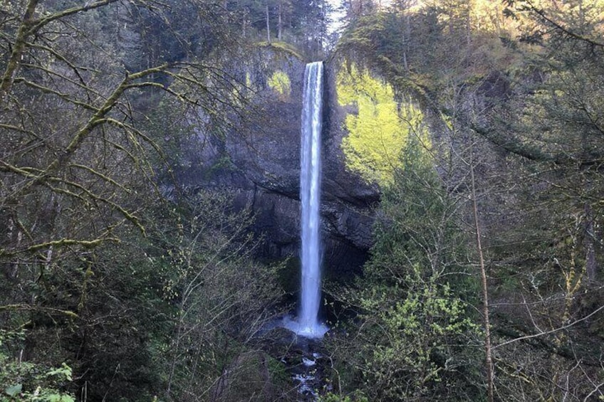 Small Group: Columbia River Gorge Waterfalls and Mt Hood Day Tour from Portland