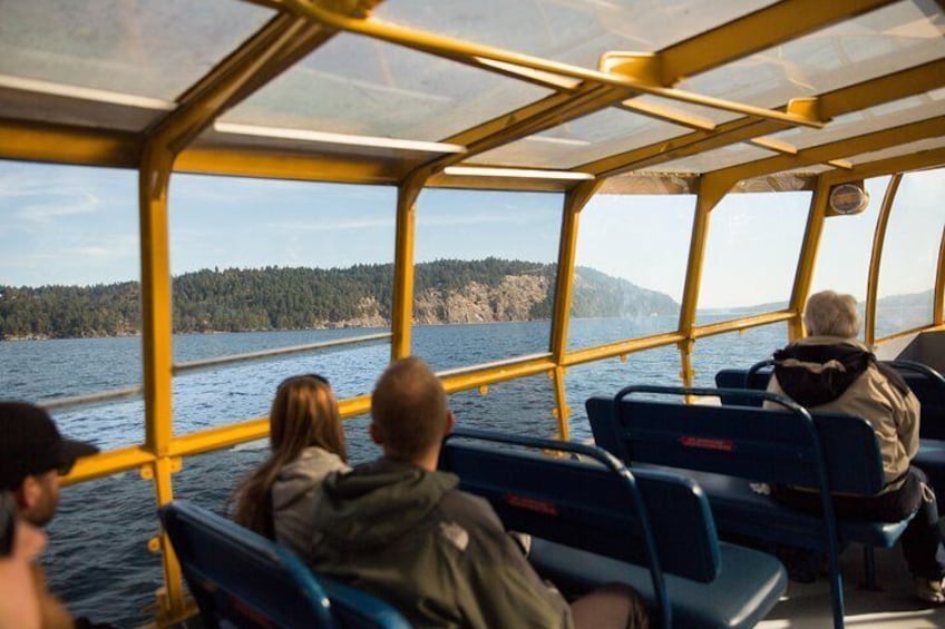 Travelers scout for Orca and humpback whales during a whale watching cruise from Vancouver.