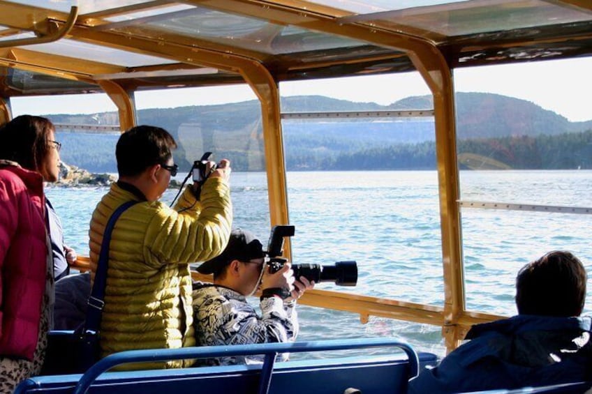 Whale-Watching Tour from Vancouver