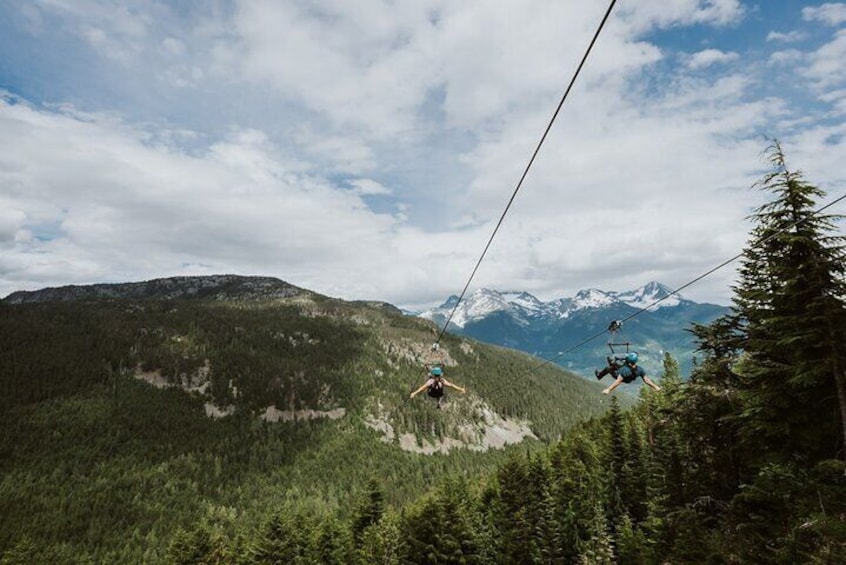 Whistler Superfly Ziplines