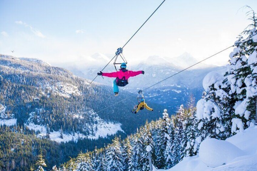 Whistler Superfly Ziplines