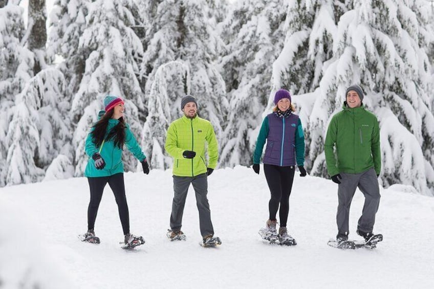 Snowshoe Trails 