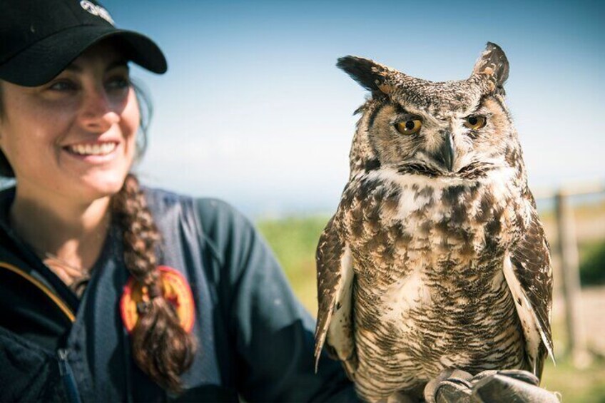 Owl Interpretive Session (Summer)