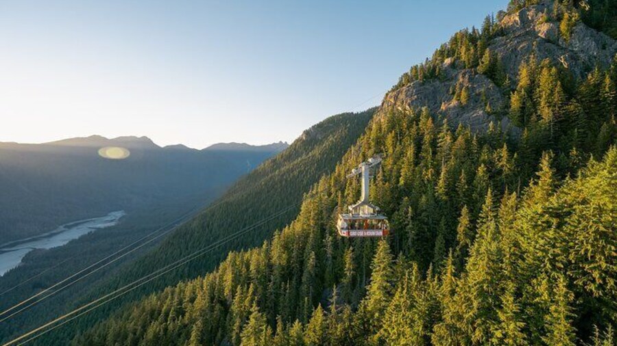 Grouse Mountain Admission Ticket