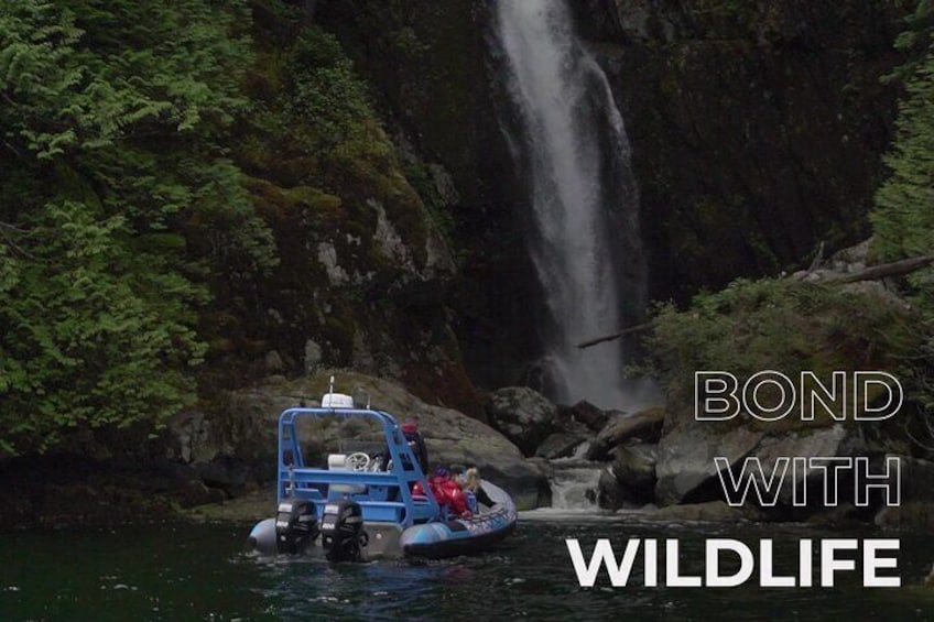 Granite Falls Zodiac Tour by Vancouver Water Adventures
