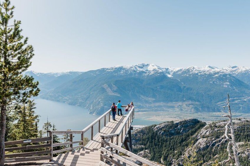 Chief Lookout