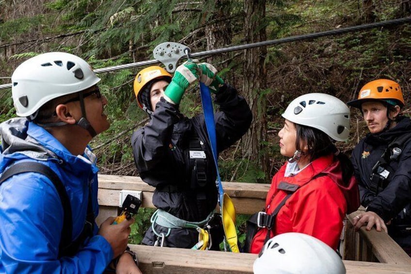 Zipline Adventure in Whistler