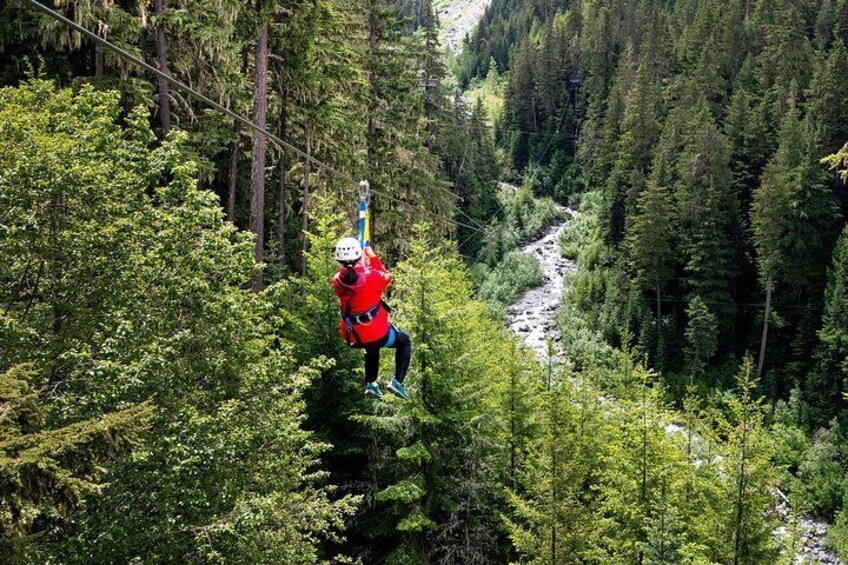 Zipline Adventure in Whistler