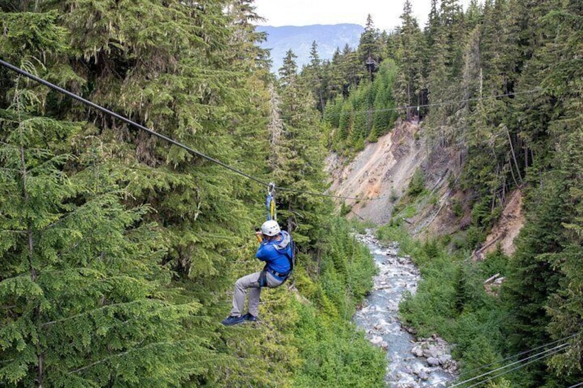 Zipline Adventure in Whistler