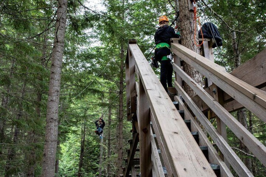 Zipline Adventure in Whistler