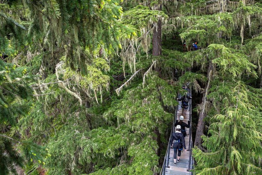 Zipline Adventure in Whistler