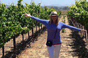 Napa Valley Wineries Tour