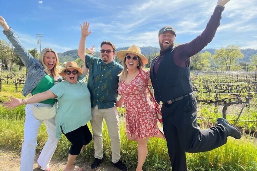 Napa Valley Wineries Tour Including Picnic Lunch