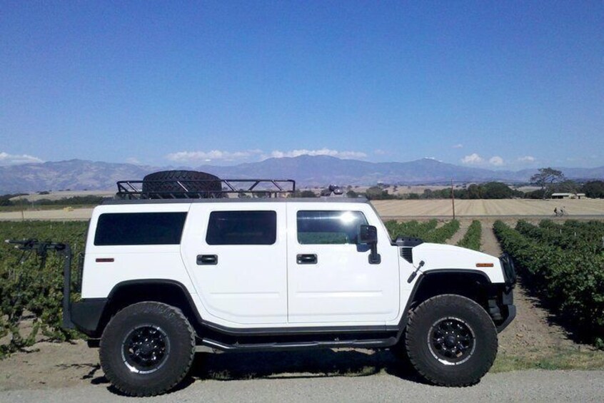 Private Temecula Wine Tasting by H2 Air-Conditioned Hummer from Palm Springs
