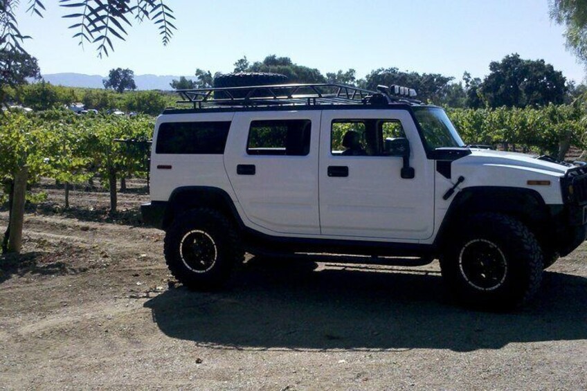 Private Tour: Temecula Wine Tasting by Hummer from Palm Springs