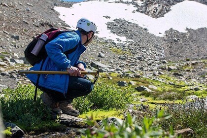 Whistler Glacier Discovery Tour