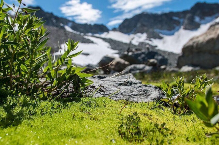 Whistler Glacier Discovery Tour