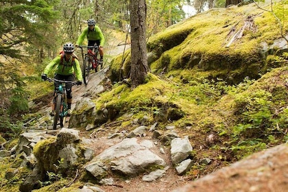 Whistler Full-Day Mountain Bike Tour