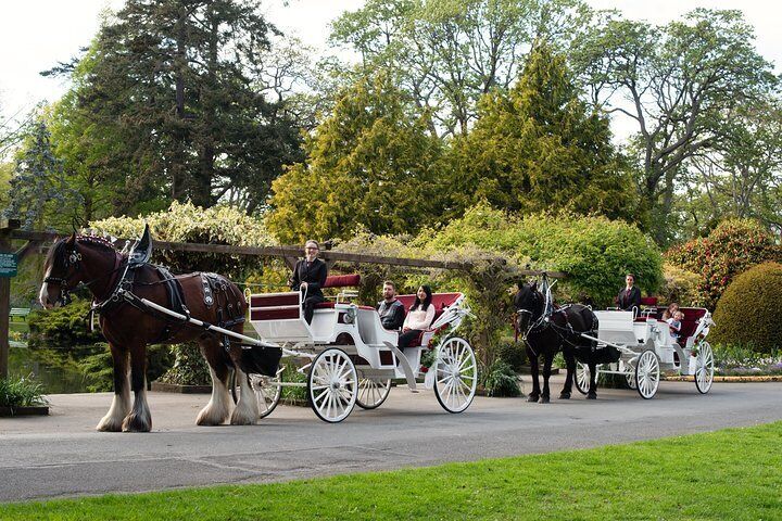 Tally ho 2024 carriage tours