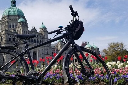 Recorrido en bicicleta por castillos y barrios de Victoria