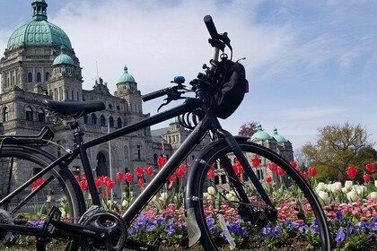 Victoria Castles and Areas Bike Tour