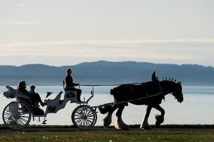 Salish Sea Horse-Drawn Carriage Tour of Victoria