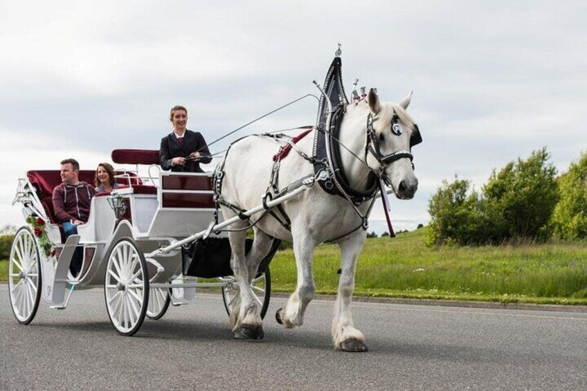 Salish Sea Horse-Drawn Carriage Tour of Victoria