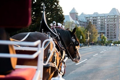 Heritage Horse-Drawn Carriage Tour of Victoria