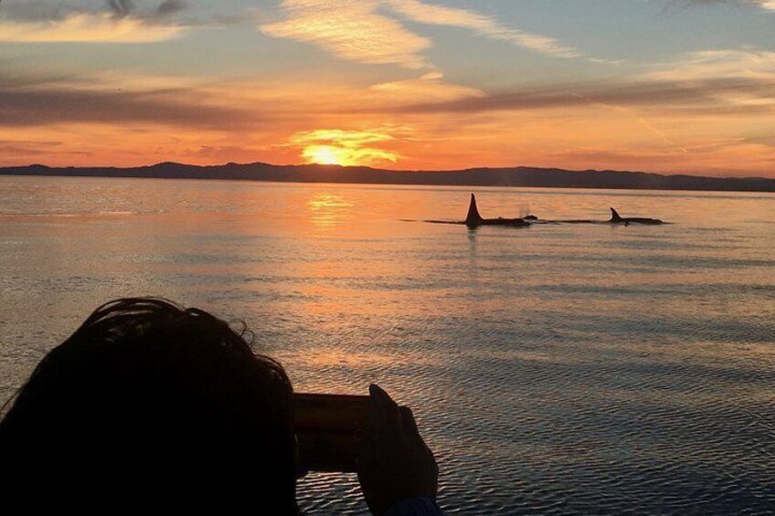 Take some amazing pictures with our expert guides