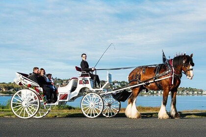 Premier Horse-Drawn Carriage Tour of Victoria