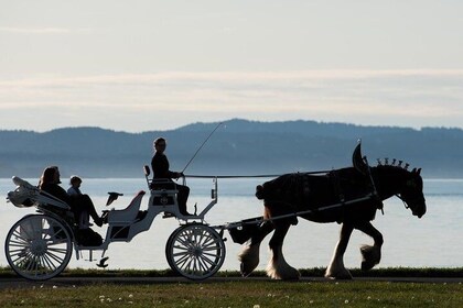 Grand Horse-Drawn Carriage Tour of Victoria