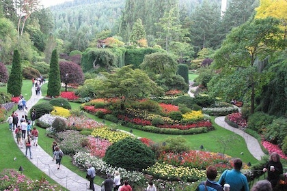 Fully narrated tour of Butchart Gardens and Saanich Peninsula