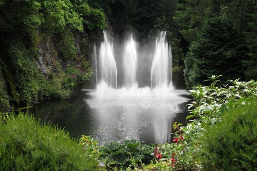 Show item 2 of 2. 3-Hour Private Tour: Butchart Gardens and Saanich Peninsula