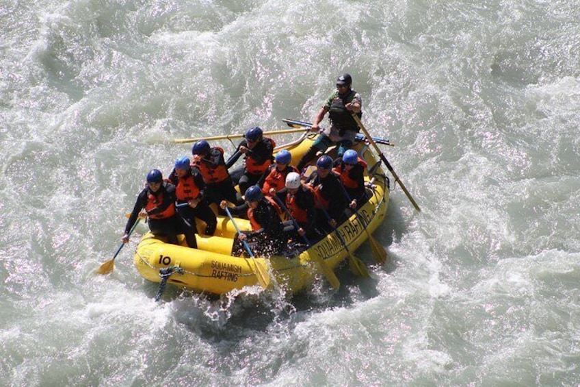 No experience is necessary - our guides will give you all of the information and skills you need for a fun & safe trip down the river. 