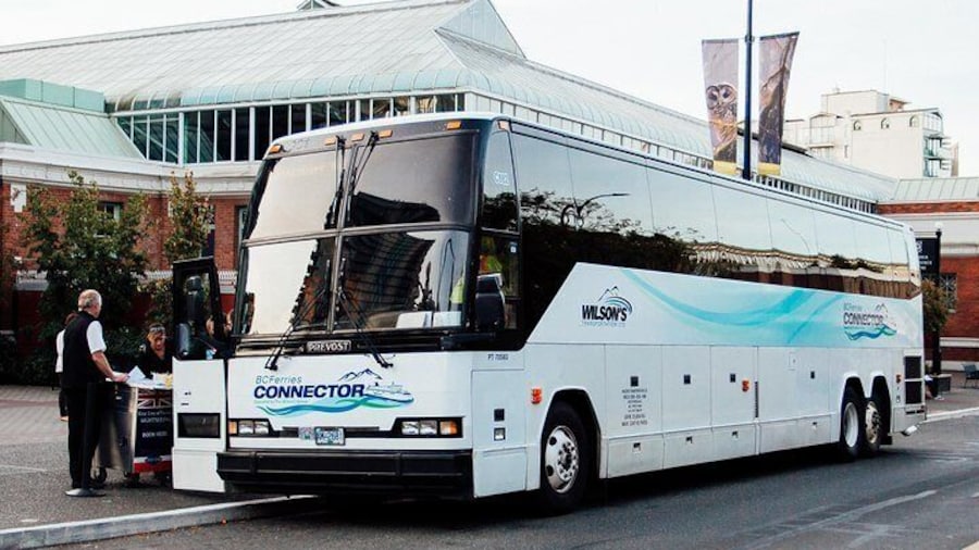 Luxury Coach